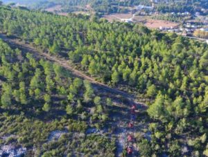 Naturaleza y motor es posible desde el respeto